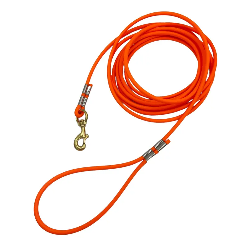 20 Foot Beta Rope Lead 1