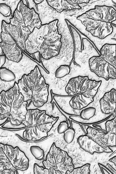 3D Texture Fades Embossing Folder - Acorns 1