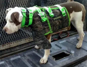 4R Custom Catch Vest 1