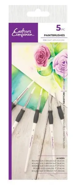 5 Piece Paintbrush Set 1