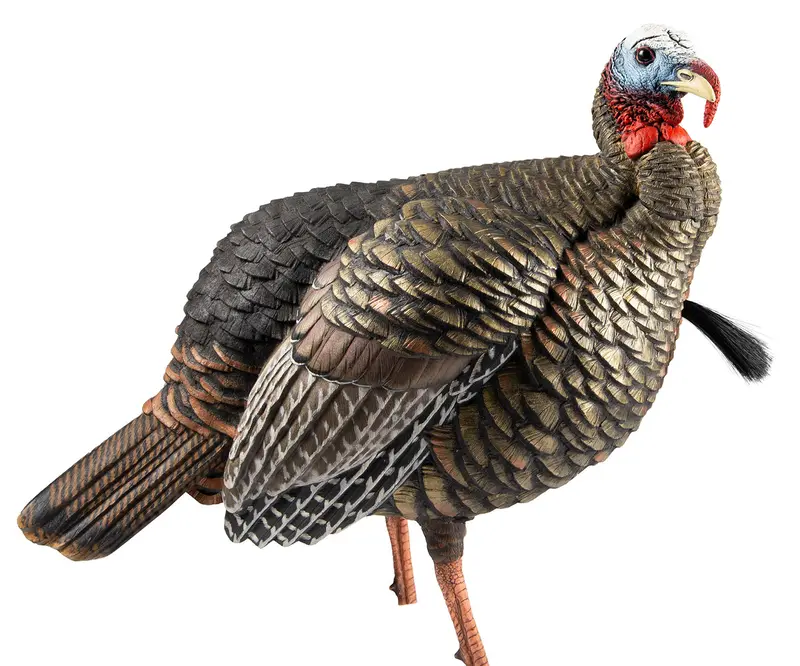 Avian Hdr Jake Turkey Decoy Multi Color 1