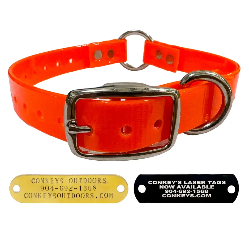 Beagle/Small Dog Day Glo Collars (3/4" Wide) With D-Ring & Center Ring 1