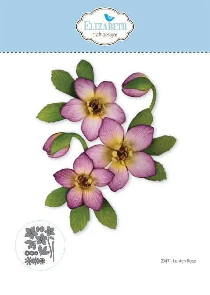 Beautiful Blooms - Lenten Rose - Dies 1