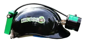 Big Dog Blitz Light 1