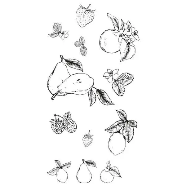 Botanical Fruit - Clear Stamps 1