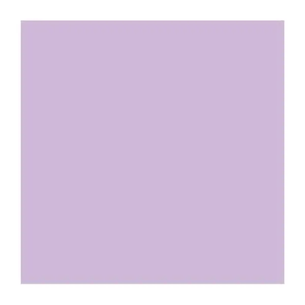 Canvas Cardstock - Amethyst 1