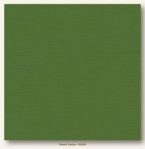 Canvas Cardstock - Desert Cactus 1