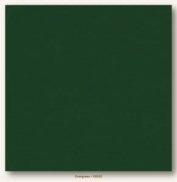 Canvas Cardstock - Evergreen 1