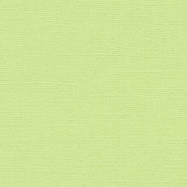 Canvas Cardstock - Lime Pop 1