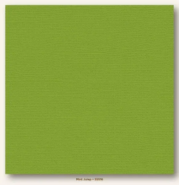 Canvas Cardstock - Mint Julep 1