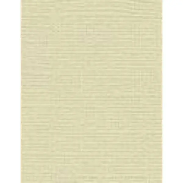 Canvas Cardstock - Muslin 1