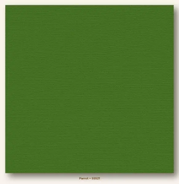 Canvas Cardstock - Parrot 1