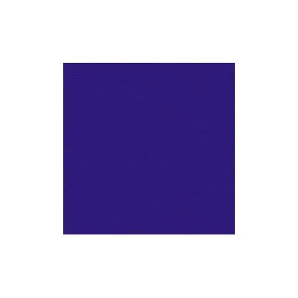 Cardstock - Canvas - Plum 1