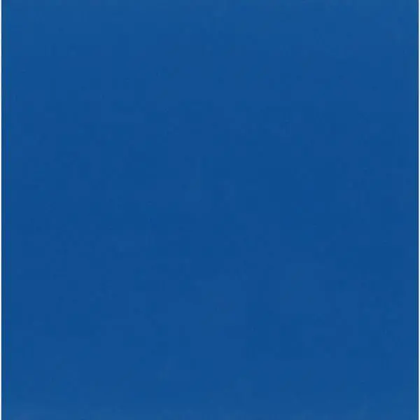 Classic Cardstock - Blueberry 1