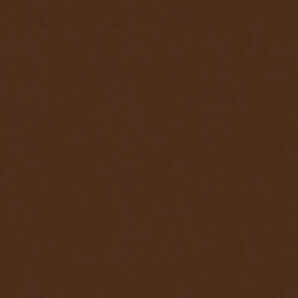 Classic Cardstock - Chocolate 1