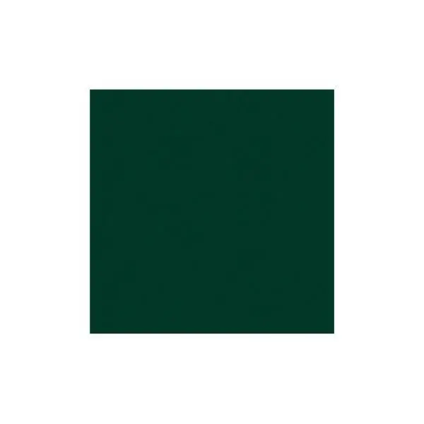 Classic Cardstock - Forest Green 1