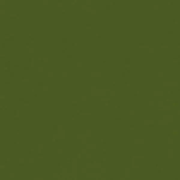 Classic Cardstock - Holiday Green 1