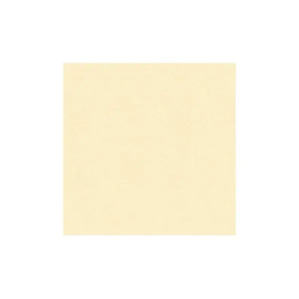 Classic Cardstock - Ivory 1