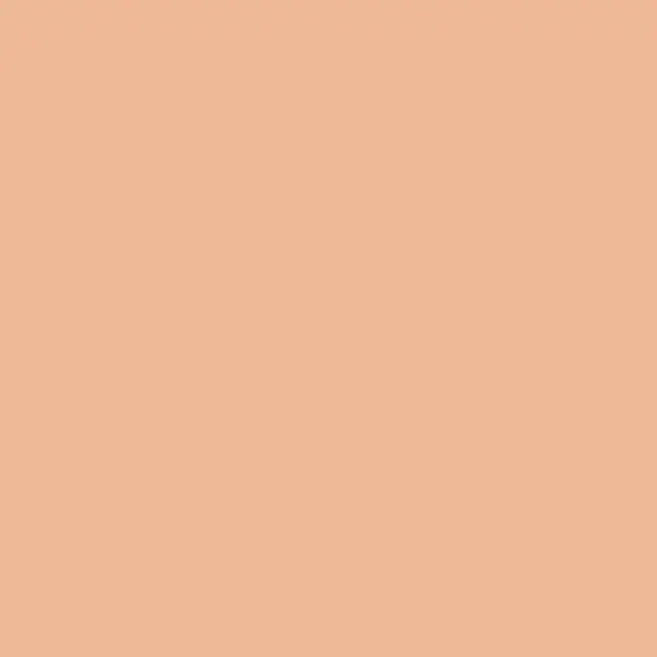 Classic Cardstock - Peach 1