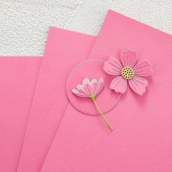 Color Essentials Cardstock - Fruit Punch 1
