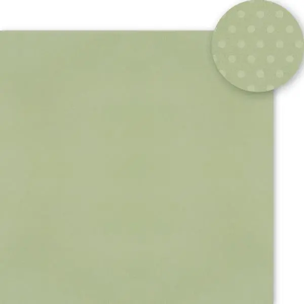 Color Vibe Cardstock - Boho - Sage 1
