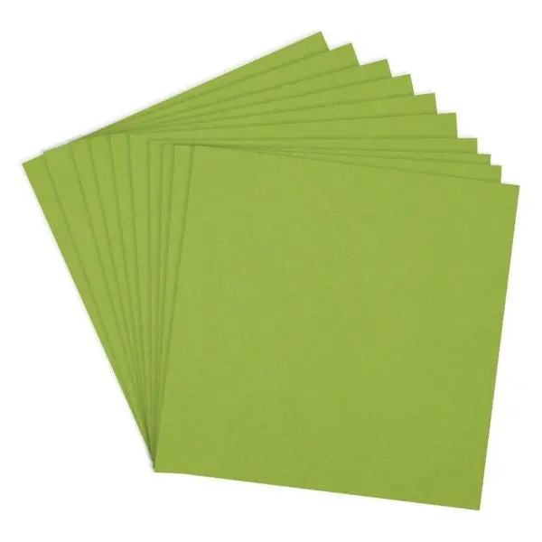 Colorwheel Cardstock - 12X12 - Rainforest 1