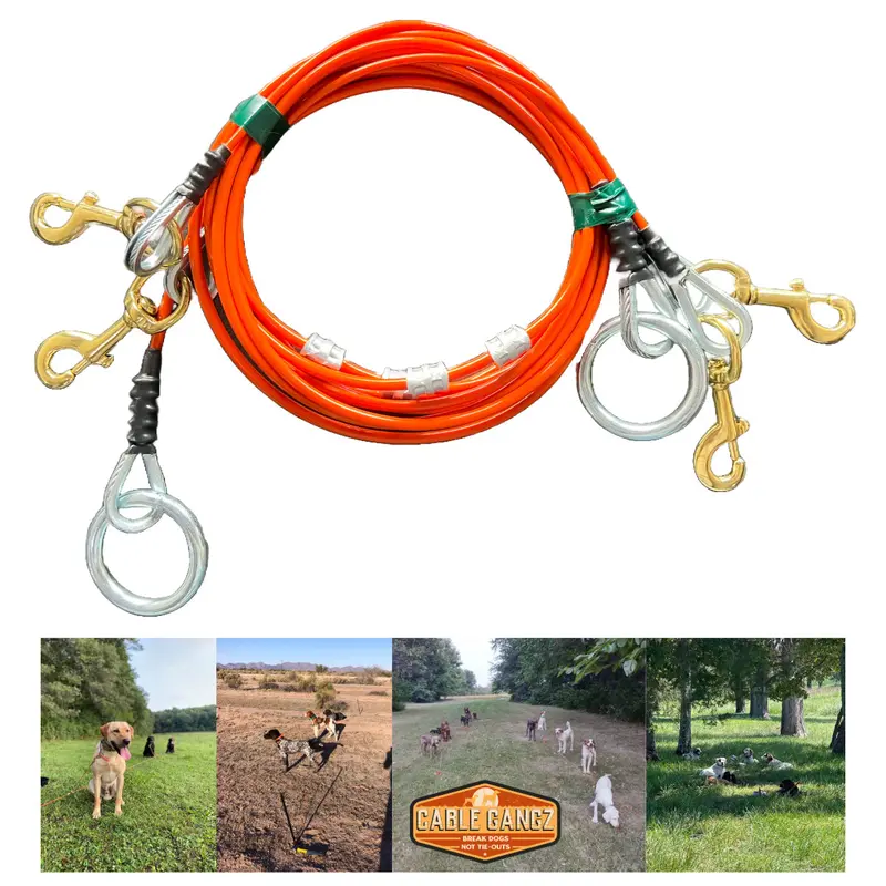 Conkey's 2 Dog Tie-Out System By Cable Gangz 1
