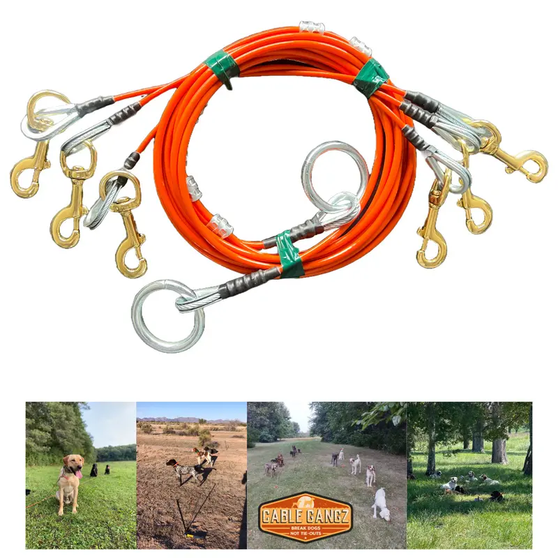 Conkey's 3 Dog Tie-Out System By Cable Gangz 1