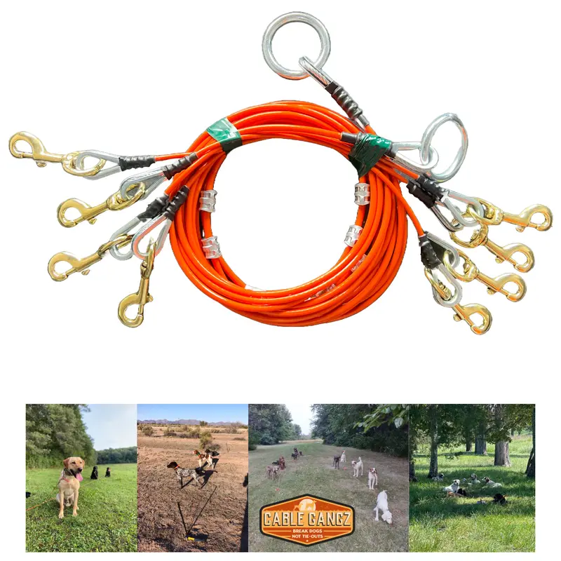 Conkey's 4 Dog Tie-Out System By Cable Gangz 1