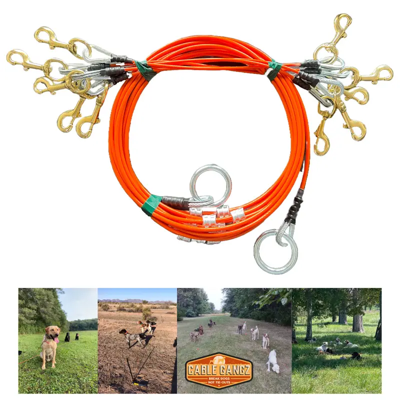 Conkey's 5 Dog Tie-Out System By Cable Gangz 1