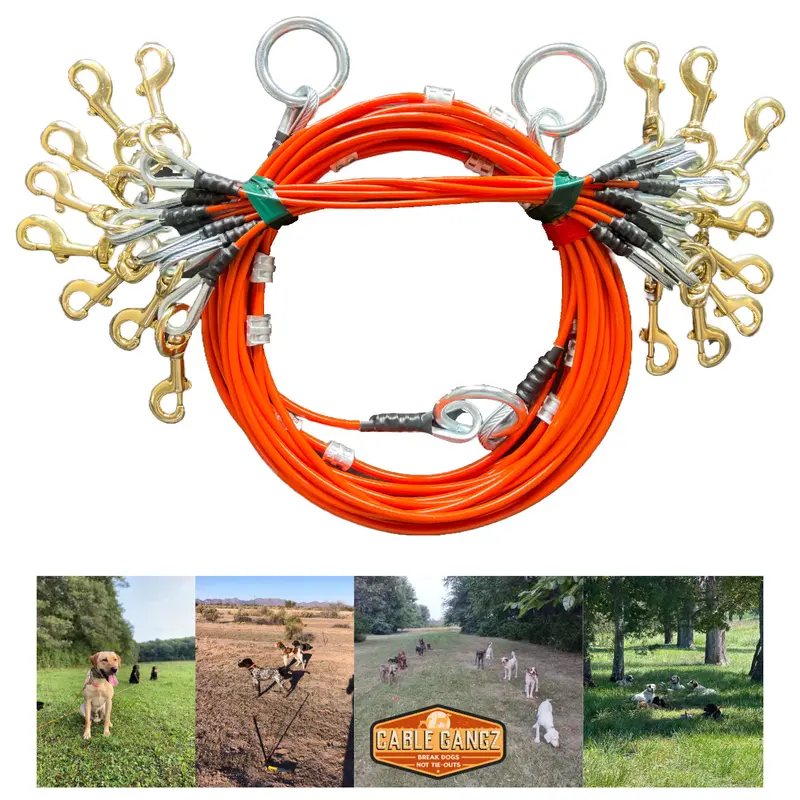 Conkey's 8 Dog Tie-Out System By Cable Gangz 1