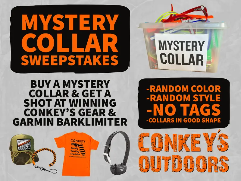 Conkey's Mystery Collar (Sweepstakes) 2