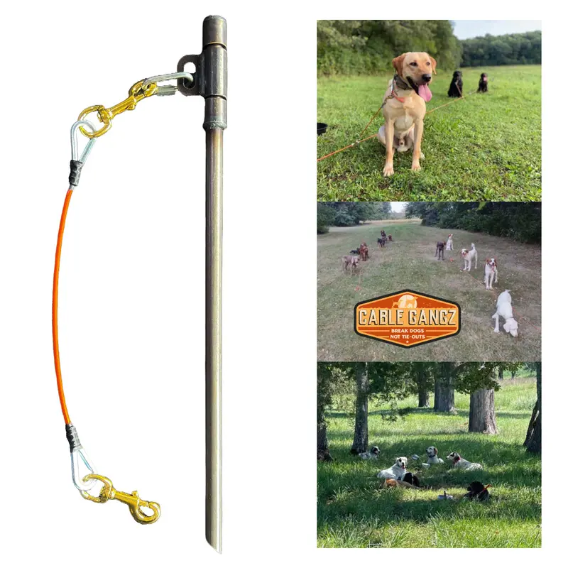 Conkey's Swivel Stakes (Comes With 24" Drop) 1