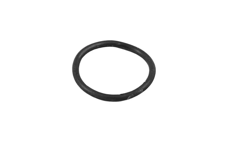 Dawn To Dusk Bear Dirt Mask O-Ring 1