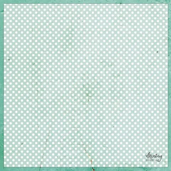 Decorative Vellum - Dots 1