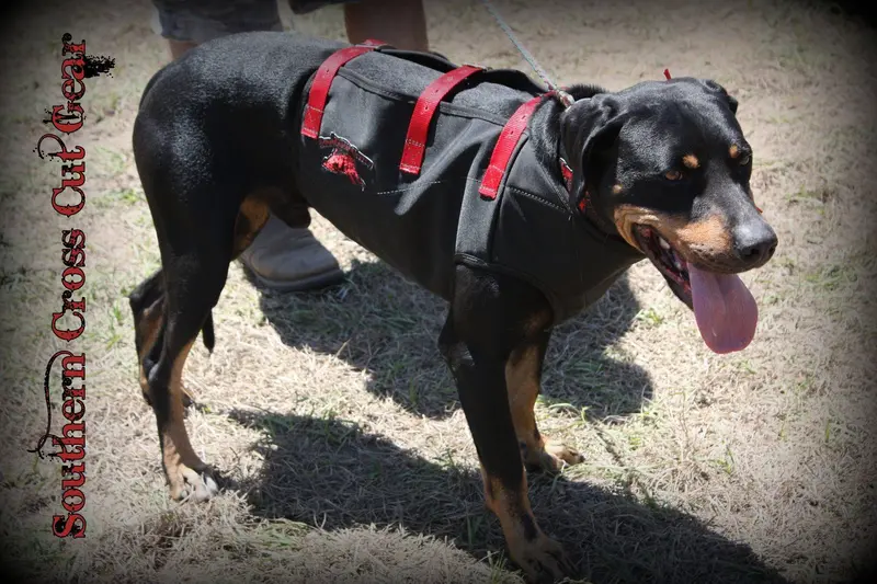 Dirty Dawg Full Vest- Bay/Strike Dog Vest 1