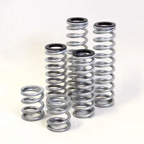 Dual Rate Springs Kit | Polaris Rzr 900 Trail 50 Inch 1