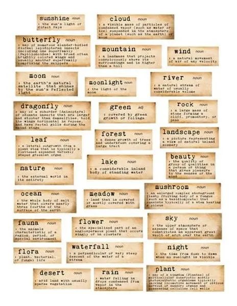 Eclectic Aviary - Ephemera - Sentiments 1