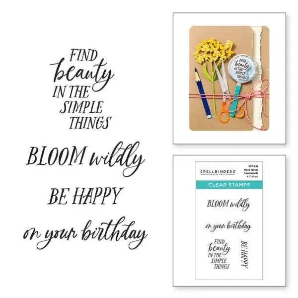 Field Notes Collection - Field Notes Stentiments Clear Stamps 1