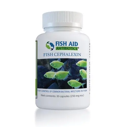 Fish Ceph 250Mg Or 500Mg 1