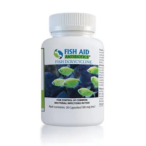Fish Dox 100Mg 30-Capsules 1