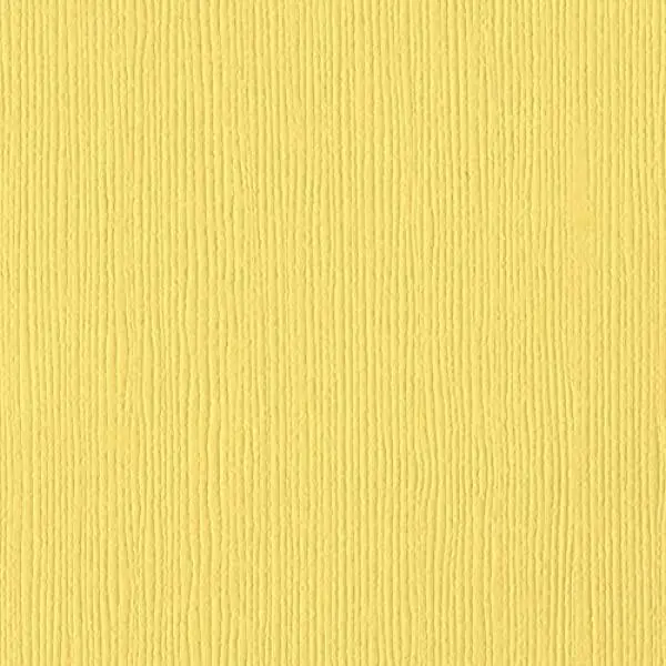 Fourz Cardstock - African Daisy 1