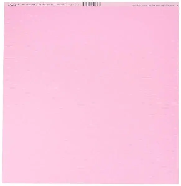 Fourz Cardstock - Fussy 1