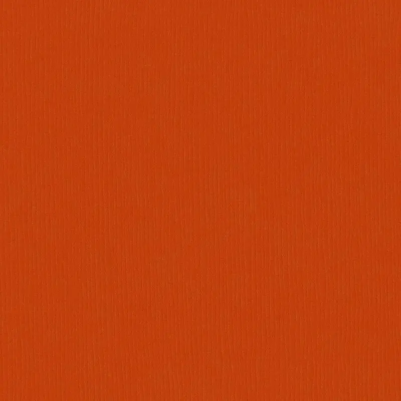 Fourz Cardstock - Pumpkin Patch 1
