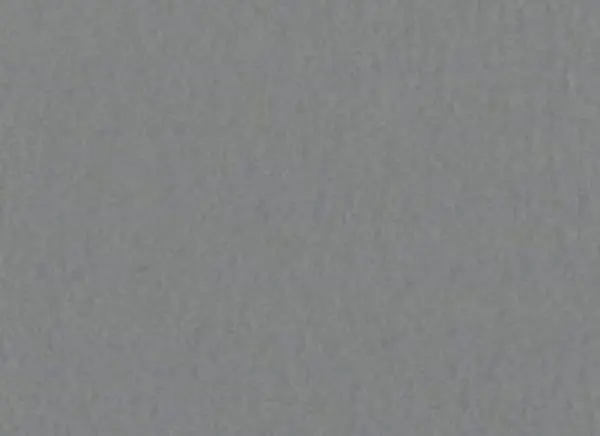 Fourz Cardstock - Zinc Prismatic 1