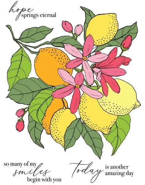 Fruit Tree - Clear Stamps 1