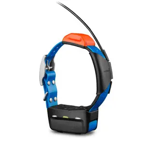 Garmin T 5 Dog Collar 1