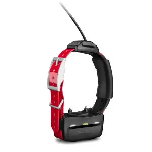 Garmin Tt15 Dog Collar 1