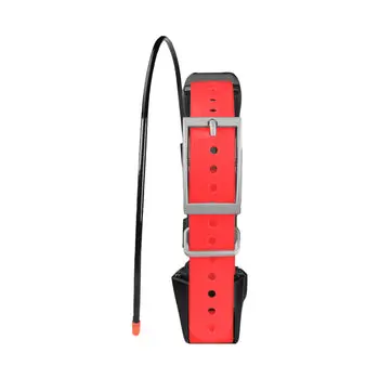 Garmin Tt15 X Collar 2