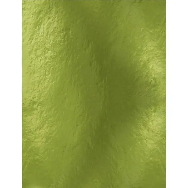 Glossy Mirror Cardstock - Holly Green 1